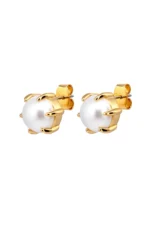 CRAZE EARRING 480068 DYRBERG/KERN SS26