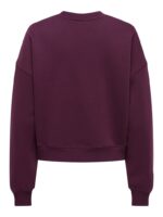 ONLBEST L/S CREW NECK SWT ONLY FW26-27 - Image 7